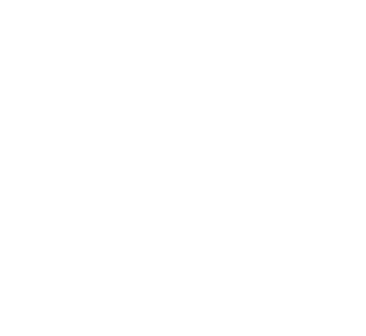 Wellness Express Spa